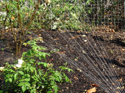 Když nezalije déšť