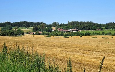 Letní snění: O tom, co nebylo, bylo a už nebude