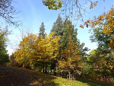 Cestou Thomayerovými sady