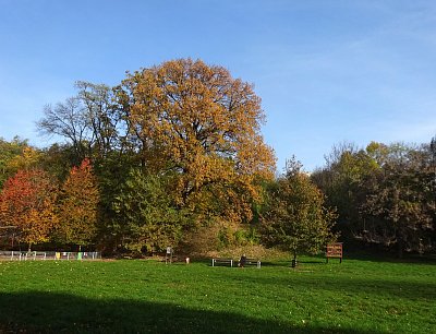Sobotní dopoledne na začátku listopadu