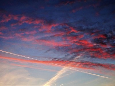 V národních barvách