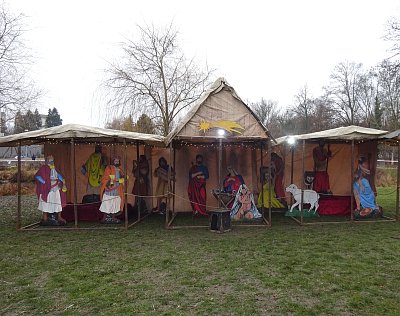 V parku Zahrádky ve Vysočanech 2