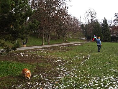 Už se na to nemůžu dívat, jak mu to nelítá