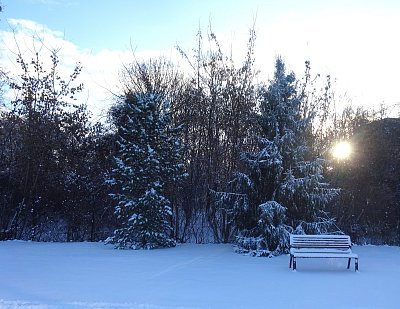 V dopoledním slunci