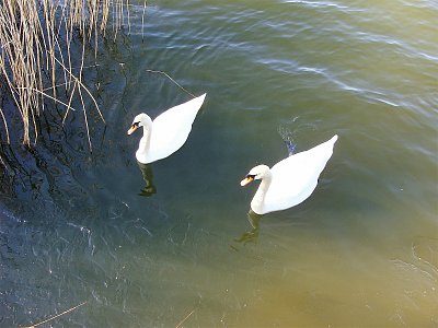 Věrni sobě i místu