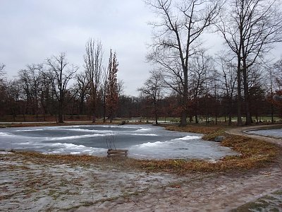 Rybníček ve Stromovce