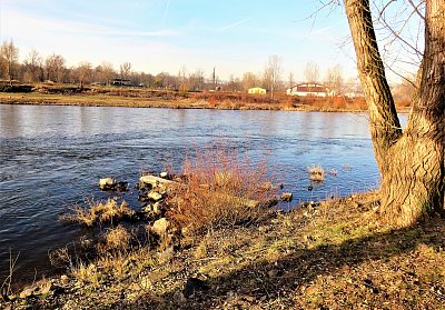 Únorové ráno u Vltavy