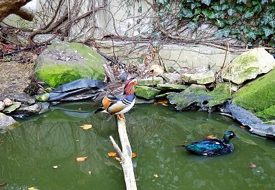 Půjdeme taky do vody?