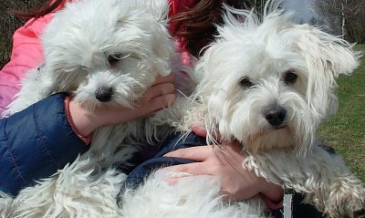 Deníček Betynky - S Valdou na horách