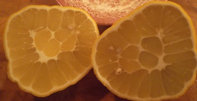 Také se vám sbíhají sliny?