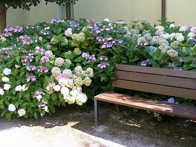 Výlet do Hradce Králové