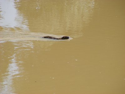 Výlet do Hradce Králové