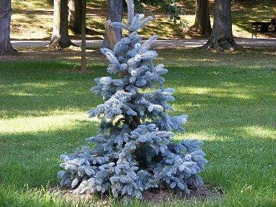 Výlet do Hradce Králové