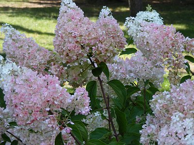 Výlet do Hradce Králové