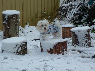 Valda a první sníh