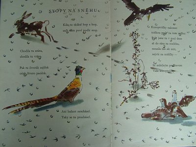 Srdce potěšení, Jan Čarek