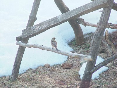 čekání na snídani