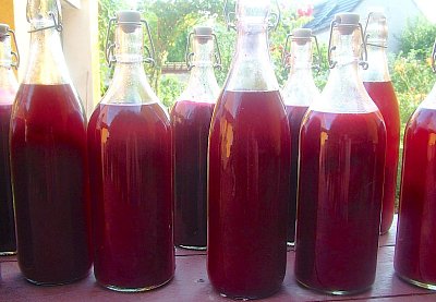 Letní dobrota: domácí šťáva z josty