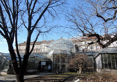 Dnes odpoledne v botanické zahradě Na Slupi