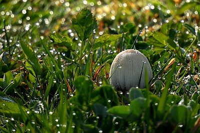 Pozor, začínáme sezónu!
