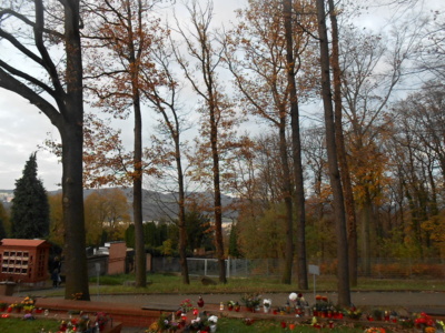 Fotoreportáž: Labutě a hřbitov