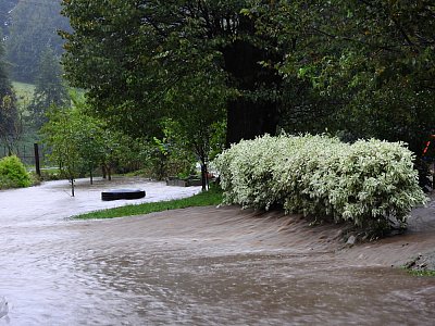 Dobrý sluha, zlý pán*