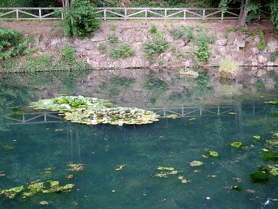 Zrcadlení v jezírku v zahradě Kinských