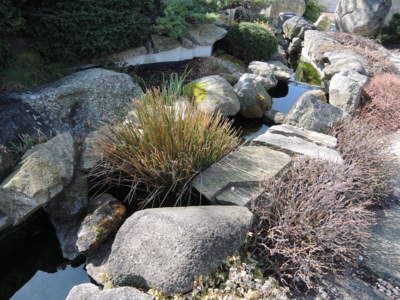 Jaro v japonské zahradě