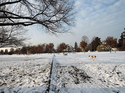 Břevnovská pláň pod sněhem dnes odpoledne