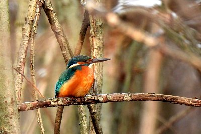 Když si model "přelétne"*