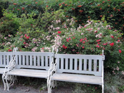 Posezení v Květnici na Petříně