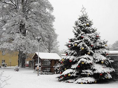 Budou vánoce ...