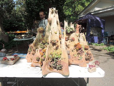 Pohádkové krajinky ze sukulentních rostlin 2024*