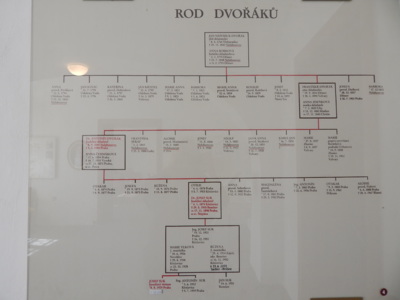 Rodokmen A.Dvořáka