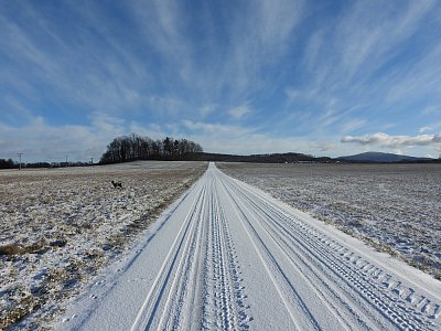 Sněžnou stopou