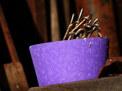 Když kytky uvadly...