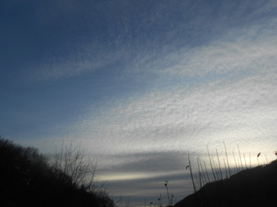 Prosincové proměny