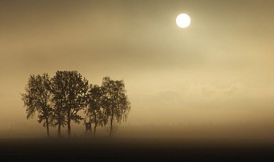 Šikovné ruce našich seniorů 2022