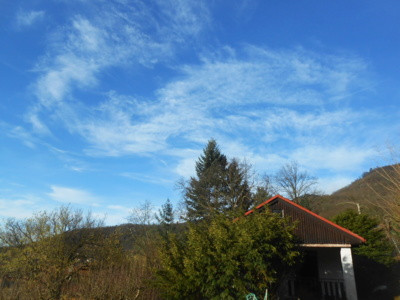 Fotoreportáž: Leden na zahradě