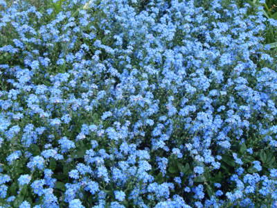 ...a zase doma....:))