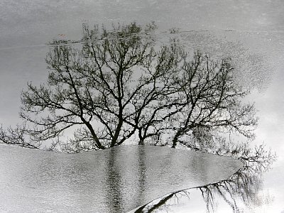 Únorové chvění na řece Bělé