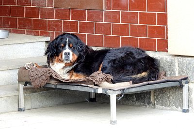 Zapomeň na to, to je moje postel!