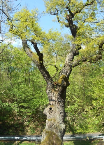 Poznáte tento kostel?