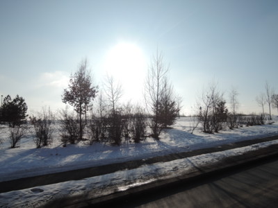 Břevnovská pláň zalitá sluncem-18.1.17