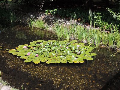 Jezírko před Císařskými lázněmi ve FL