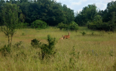 Nevšední zážitek