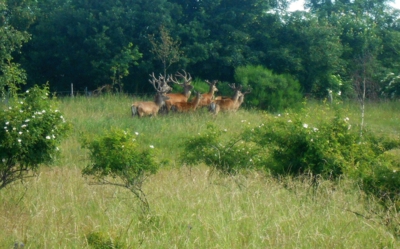 Zážitek roku: Zázraky přírody