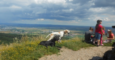 Skoro dámská jízda