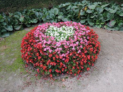 Vzpomínka na Vrtbovskou zahradu