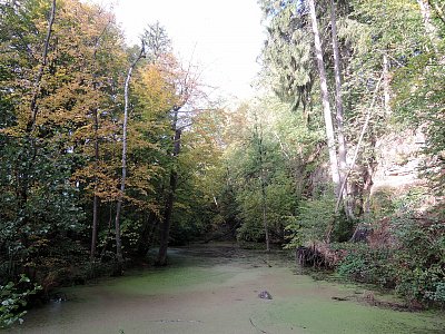 V parku u Zámku Lemberk